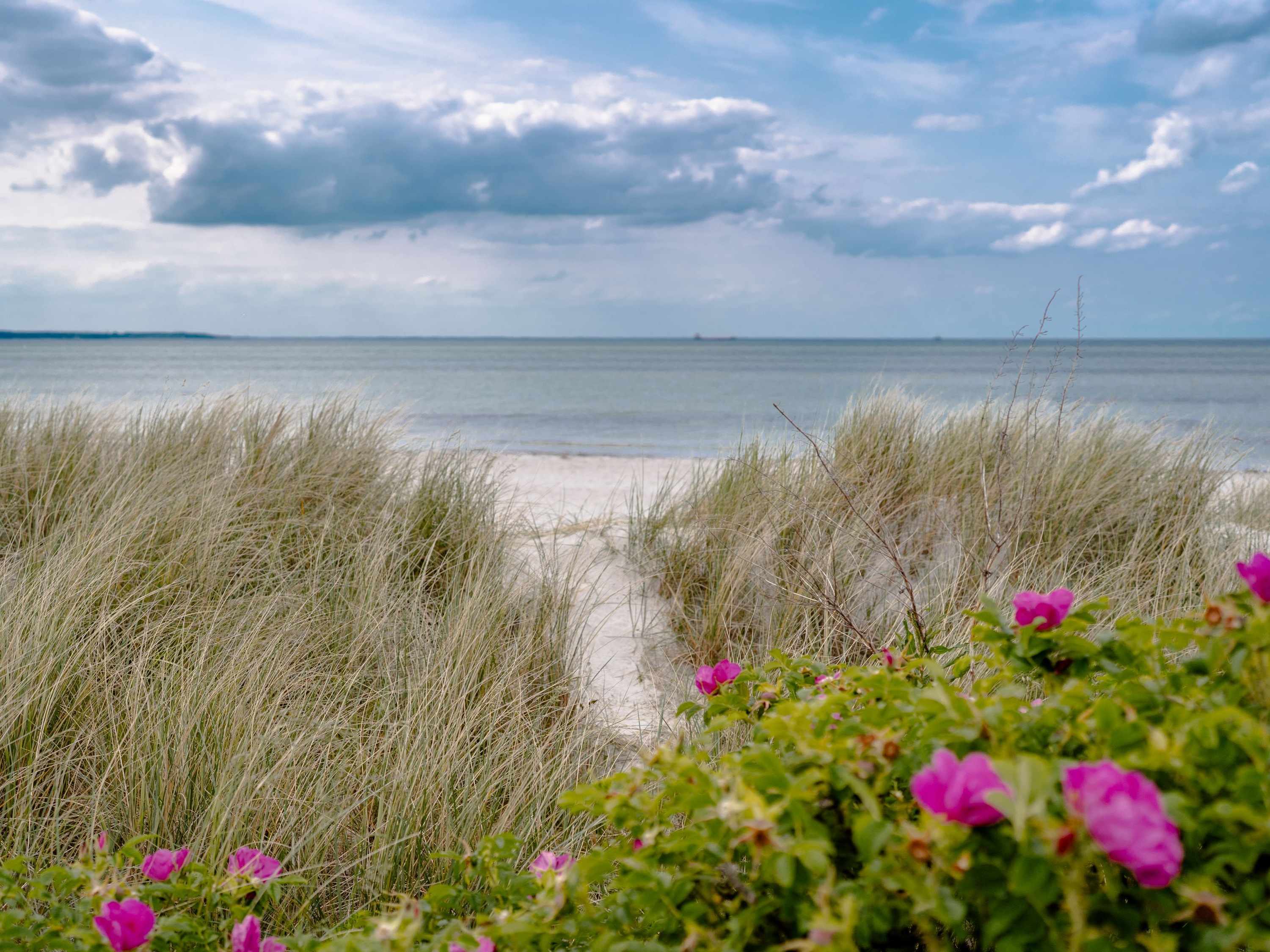 SlowDown Investment an der Ostsee