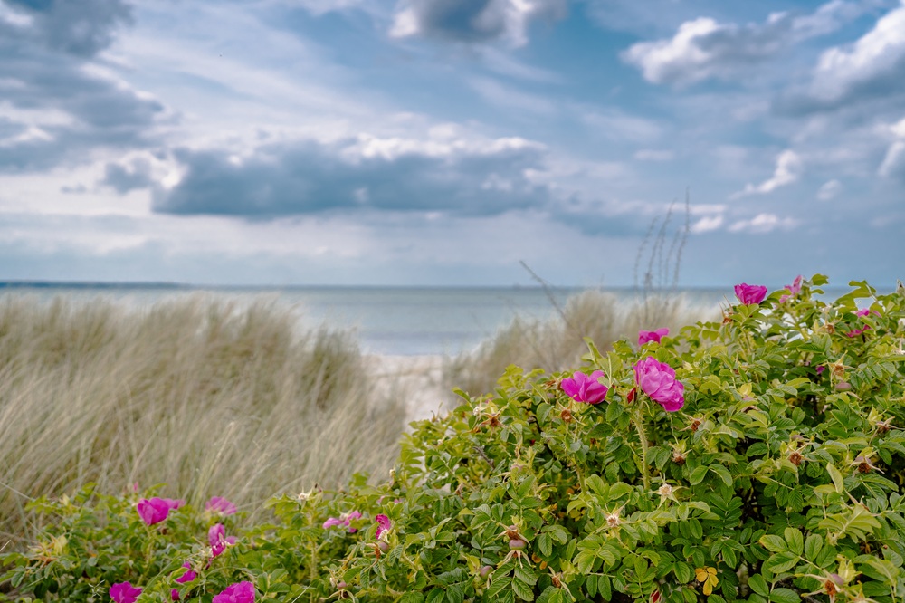 Ostseestrand und Naturschutzgebiet Bottsand