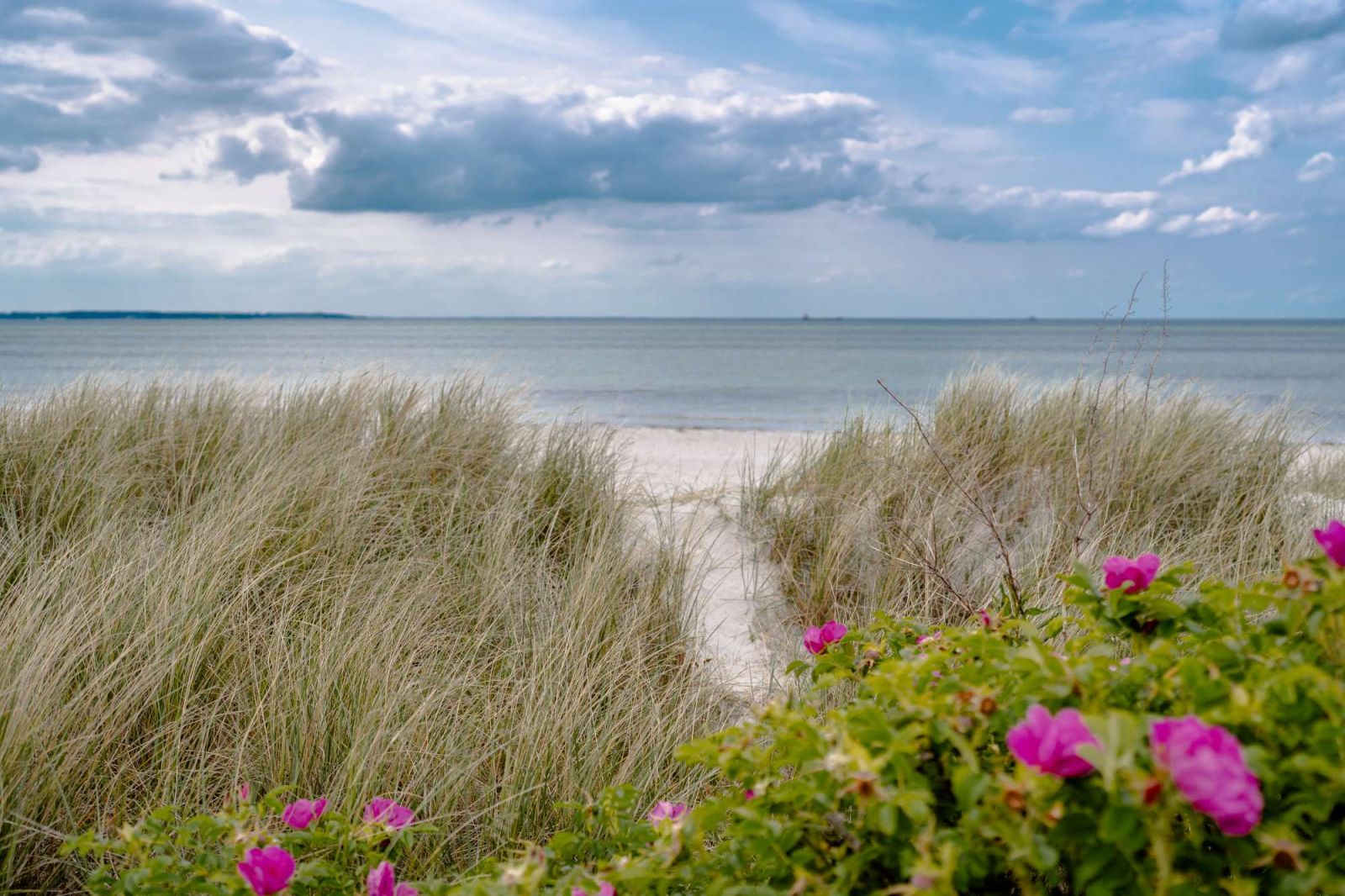 SlowDown Investment an der Ostsee